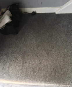 Carpet Cleaning Services Before#1