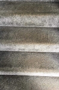 Carpet Cleaning Services Before#3
